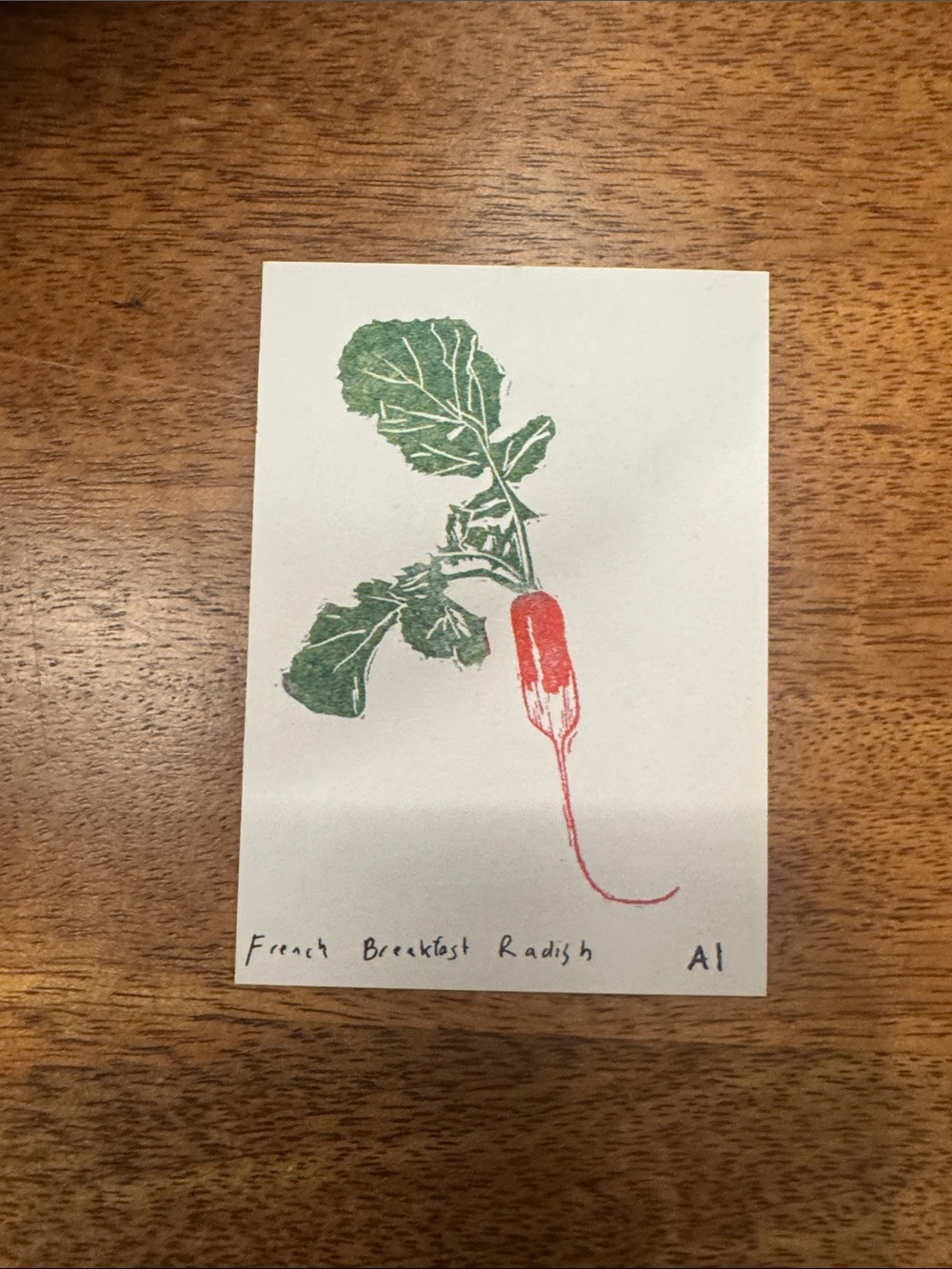 Inciardi - French Breakfast Radish- Mini  Print - Green & Red -